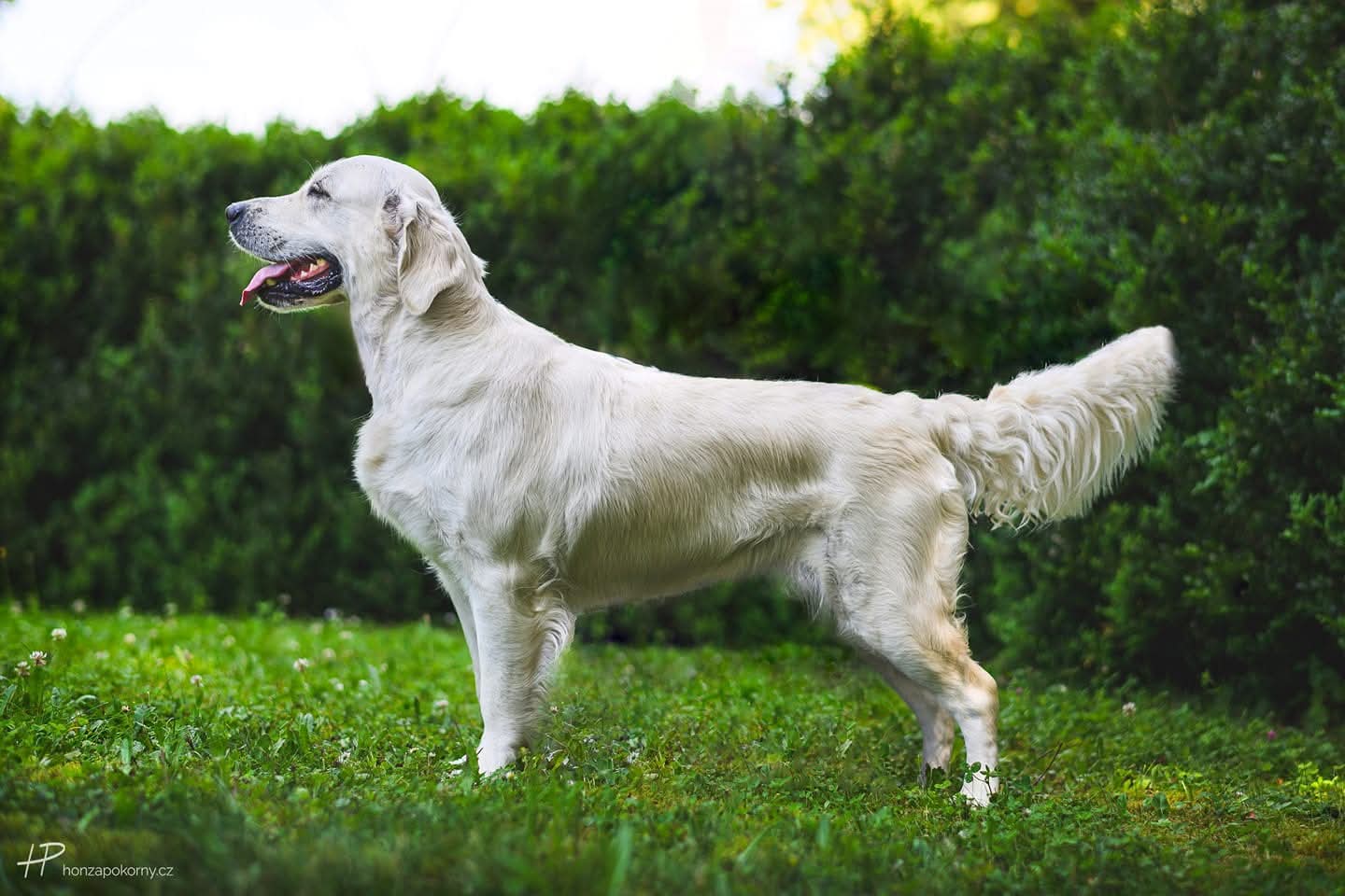 FB_IMG_1765794523171